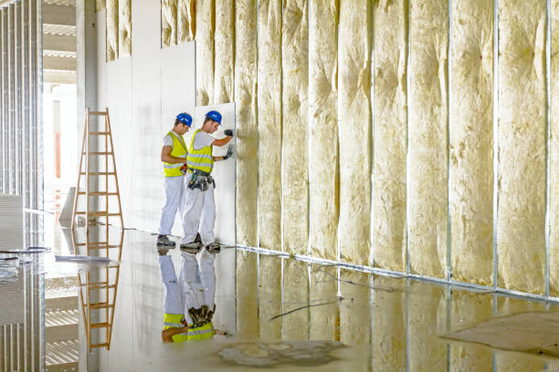 Best Soundproof Insulation  in Dermott, AR